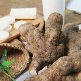 [Direct from Farm] Andong Plain Wild Yam (Ugly) 1kg / [산지직송] 안동 담백한 산마(못난이) 1kg