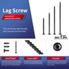 SG TZH #14 x 6 Inch Lag Screws (48Pcs) 2lb.