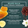 BADGER Beard Grooming Kit, 1 Each