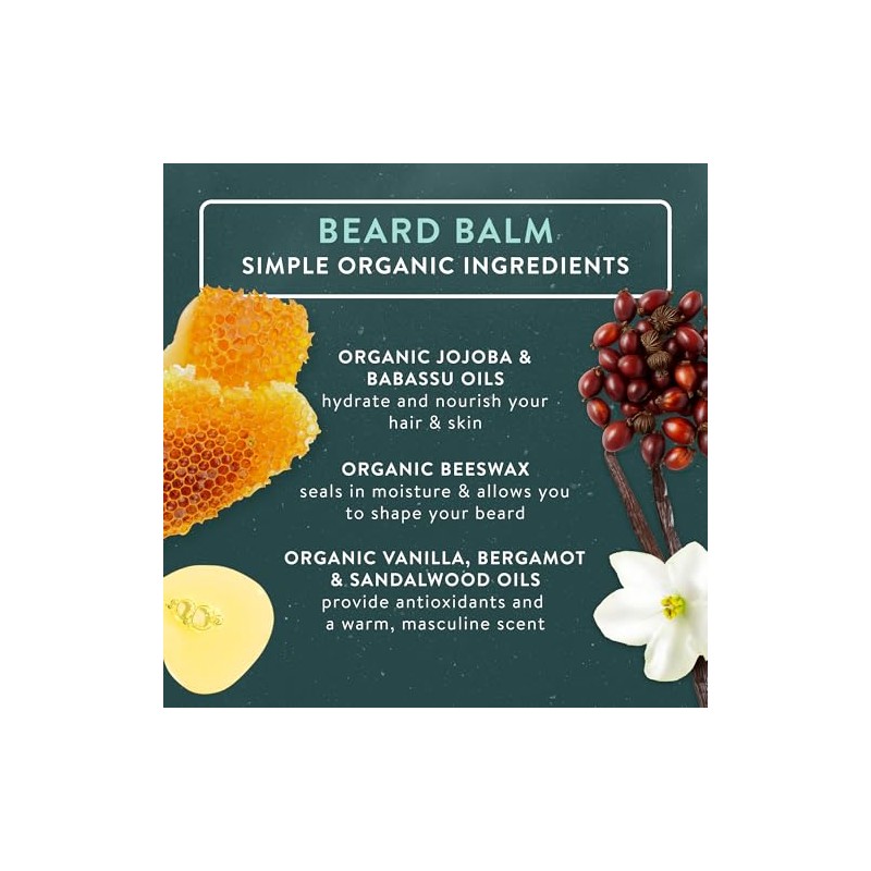 BADGER Beard Grooming Kit, 1 Each