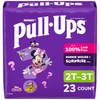 Pull-Ups Girls' Potty Training Pants, Size 2T-3T Training Underwear (16-34