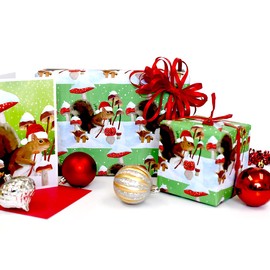 Mushroom Squirrel - Reversible Holiday Wrapping Paper - Eco Gift Wrap Allport Editions x Wrappily