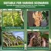 Tree Wound Sealer, Organic Pruning Dressing Paste & Grafting Compound,