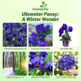 Outsidepride Blue Ullswater Viola Pansy Seeds for Planting - 1,000 Pcs. Biennials, Trailing, Cold-Hardy & Pollinator Friendly Flowers with Fragrant Blooms for Garden Beds, Borders & Container Displays