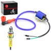 Ignition Coil and 10mm Spark Plug For 70cc 90cc 110cc