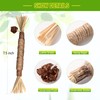 BAWAN Catnip Toys‖ Silvervine for Cats: Cute Cat & Kitten