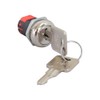 AlveyTech Key Switch with Standard Metal Head Keys for Amigo,