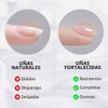 GAOY- Gel constructor transparente para uñas, fortalecedor de uñas de