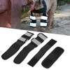Pet Elbow Brace Surgical Joint Protection Recovery Dog Elbow Protector