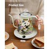 INFOOD 0.8L Gooseneck Electric Kettle, Precise Temperature Control for Pour