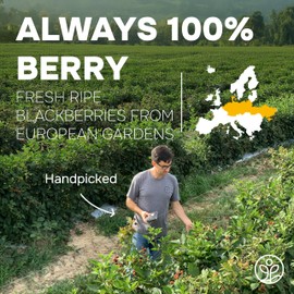 Jungle Powders BlackBerry Powder 3.5 Ounce Bag Freeze Dried Blackberries Fruit Additive Free Unsweetened Smoothie Superfood Nordic Wild BlackBerry Extract for Baking Flavoring Dry Black Berry Powder