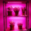 Litever Grow Light Strip Kit 36W with Timer, 4 pcs