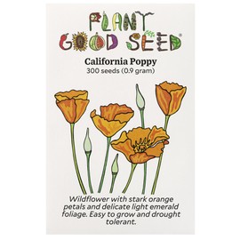 Plant Good Seed California Poppy Wildflower Seeds for Planting: Orange Flowers, 300 Seed Packet
