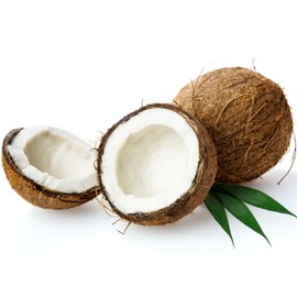 EraGreen® Coconut Mat Made of 100% Coconut Fibres - 0.5 m x 2 m with 800 g/m² - Winter Protection and Cold Protection for Plants - One Side with Natural Latex - Rodent Mat