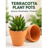 16-Pack Mini Terracotta Pots for Succulents & Cactus – 1.8-Inch