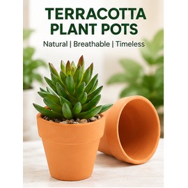 16-Pack Mini Terracotta Pots for Succulents & Cactus – 1.8-Inch Clay Planters with Drainage Holes for Home Decor & Crafts