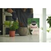 Miracle-Gro Houseplant Potting Mix - Fertilized Soil, Designed to be