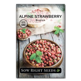 Sow Right Seeds - Regina Alpine Strawberry Seeds for Planting - Non-GMO Heirloom Packet with Instructions to Plant & Grow an Home Vegetable Garden - Bright Red Strawberry - Grows Early & Fast (1)