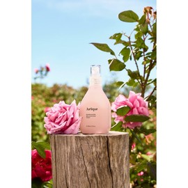 Julique Rose Water Balancing Mist 50ml (until August 2026) / 줄리크 로즈 워터 밸런싱 미스트 50ml (2026.08월까지)