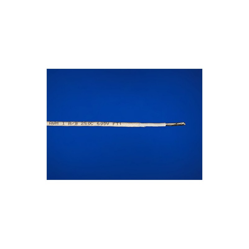 Appliance wire 12 AWG TGGT 250C 600V (10ft)