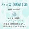 Mentha Oil 100% Natural Peppermint Oil, Made in Japan, Large