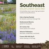 Eden Brothers Southeast Wildflower Mixed Seeds for Planting, 1/4 lb,