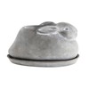 Creative Co-Op Cement Rabbit Planter with Saucer (Set of 2