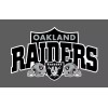 Oakland Raiders Wall Decal 25x15.5