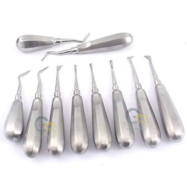 G.S Set of 10 New O.R Grade Dental Elevators Extraction Instruments Best Quality