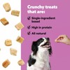 Wiggles & Wags Freed Dried Chicken Crunchy Treats