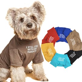 AmzBarley Dog Clothes, Spring and Summer, T-Shirt, Simple, English Letter Print, Plain, Round Neck, Cotton, Soft, Breathable, Stretchy, Stylish, Cute, Dogs, Cats, Dog Wear, Spring, Summer, Fashion,