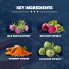 American Vitality Liver Nurture Liver Supplement Formula with Milk Thistle,