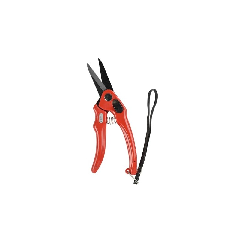 Burgon & Ball Supersharp Foot Shears Serrated