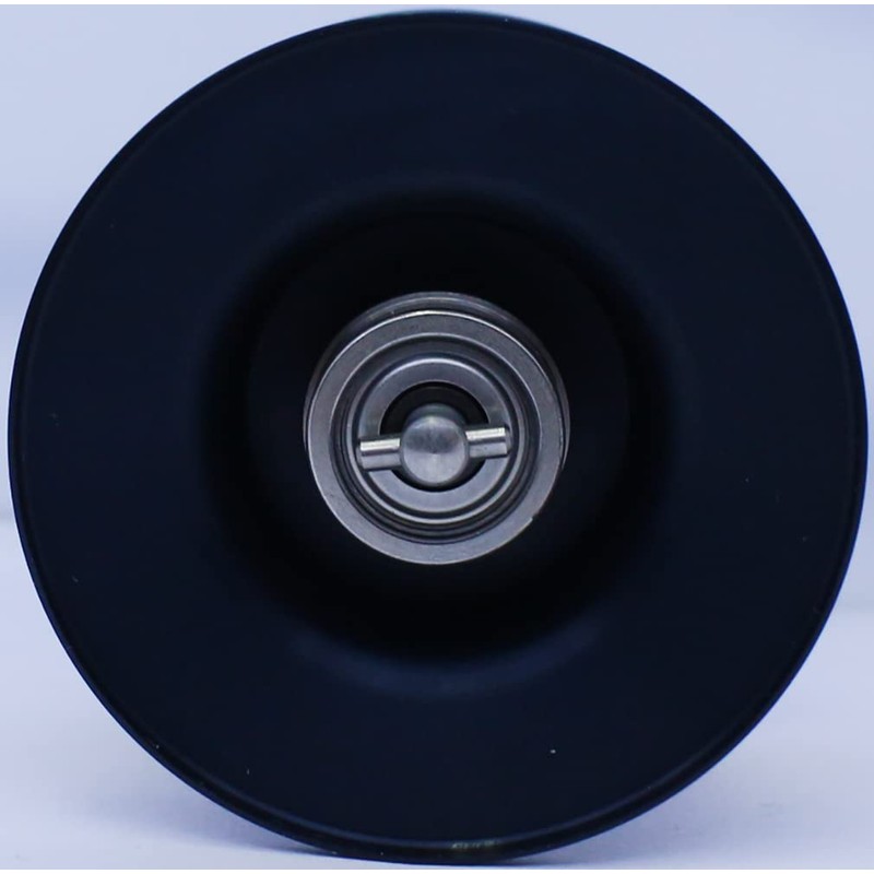 DAIWA Genuine Parts STEE A TW HLC 8.1L Spool (20-31)