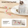 ZVGV 2 in 1 Interactive Cat Toys for Indoor, Toy