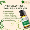 Bliss Of Earth 100% Pure Tea Tree Essential Oil -