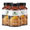 Natural Vida 4-in-1 Turmeric Garlic Ginger with Bioperine 2,400 mg