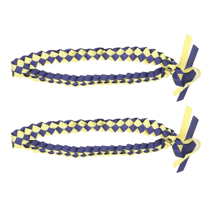 2Pcs Ribbon Leis Double Braided Necklace Graduation Congrats Accessory for