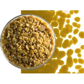 Golden Green Glass Frit Coarse Bullseye COE 90 Fusible- 8 Ounces