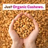 Unsweetened Organic Cashew Milk Concentrate by JOI - Vegan, Kosher,