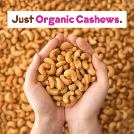 Unsweetened Organic Cashew Milk Concentrate by JOI - Vegan, Kosher, Keto-Friendly. 2 Pack, Makes 14 quarts. Perfect for smoothies and homemade milk. Sugar free, zero additivies, no seed oils.