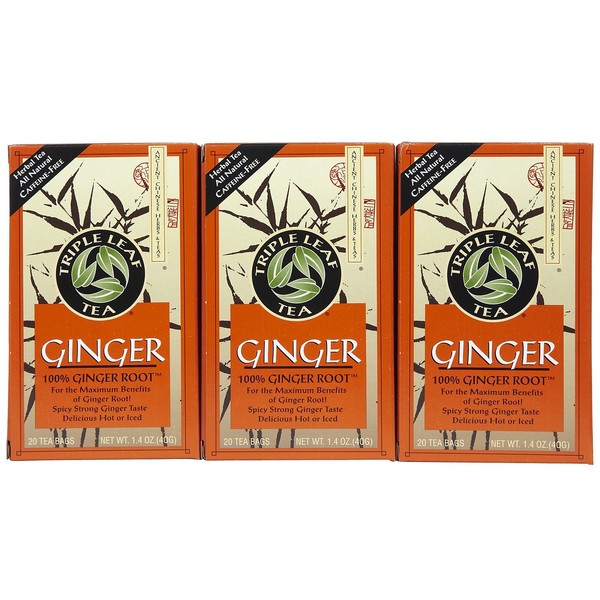 Triple Leaf Ginger Tea Bags, 20 ct, 3 pk