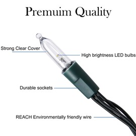 Blissun Christmas Lights, 50-Count Green Wire Light Set, Battery Operated Christmas Mini String Light with 8 Modes, 16 ft Fairy Lights for Christmas Tree Garden Wreath Decorations (1 Pack, Warm White)