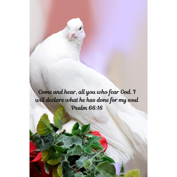 Come and hear, all you who fear God. I will