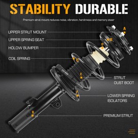 Front Complete Strut Spring Assembly Shocks Absorbers for Scion tC 2005 2006 2007 2008 2009 2010, 172390, 172391 (Set of 2)