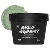 Lush Mask of Magnaminty Self-Preserving Power Mask Pack, 125g, 1 pack / 러쉬 마스크 오브 매그너민티 셀프 프리저빙 파워 마스크팩, 125g, 1개