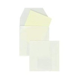 Pack of 100 Coin Bags, 50 x 50 mm, Straight Flap, 80 g/m² Glassine, Without Window, White (Transparent White) Blanke Briefhüllen