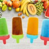 eMKay® Pack of 2 – 6 Section Ice Lolly Makers