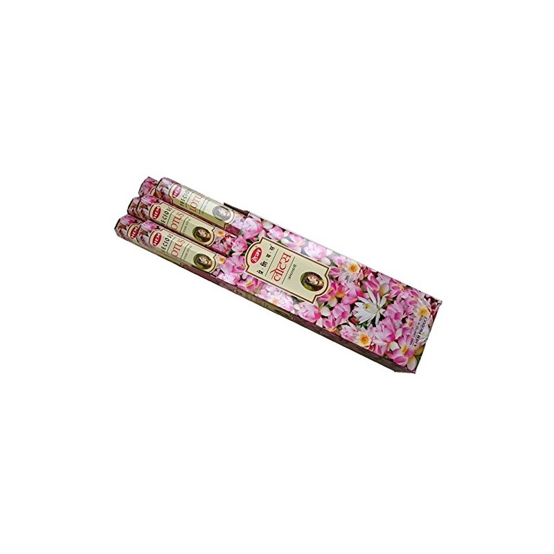 HEM(Hem)/Incense Stick/Precious Slotas/Case (Box of 20 x 6 Boxes)