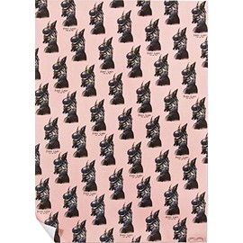 Chase and Wonder"Foxy Lady" Rolled Gift Wrap Paper (4)